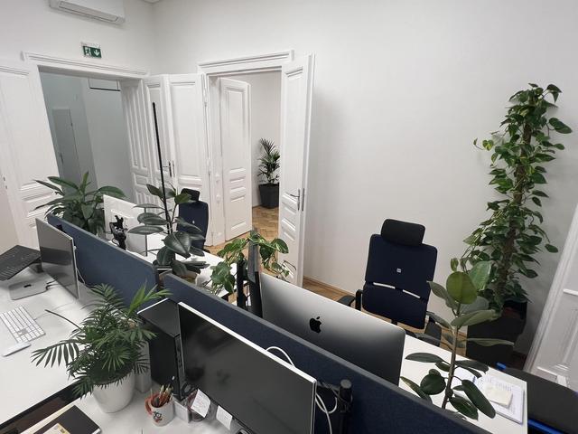 Arbeitsplätze im Earlybird Büro mit vielen Grünpflanzen im Hintergrund.