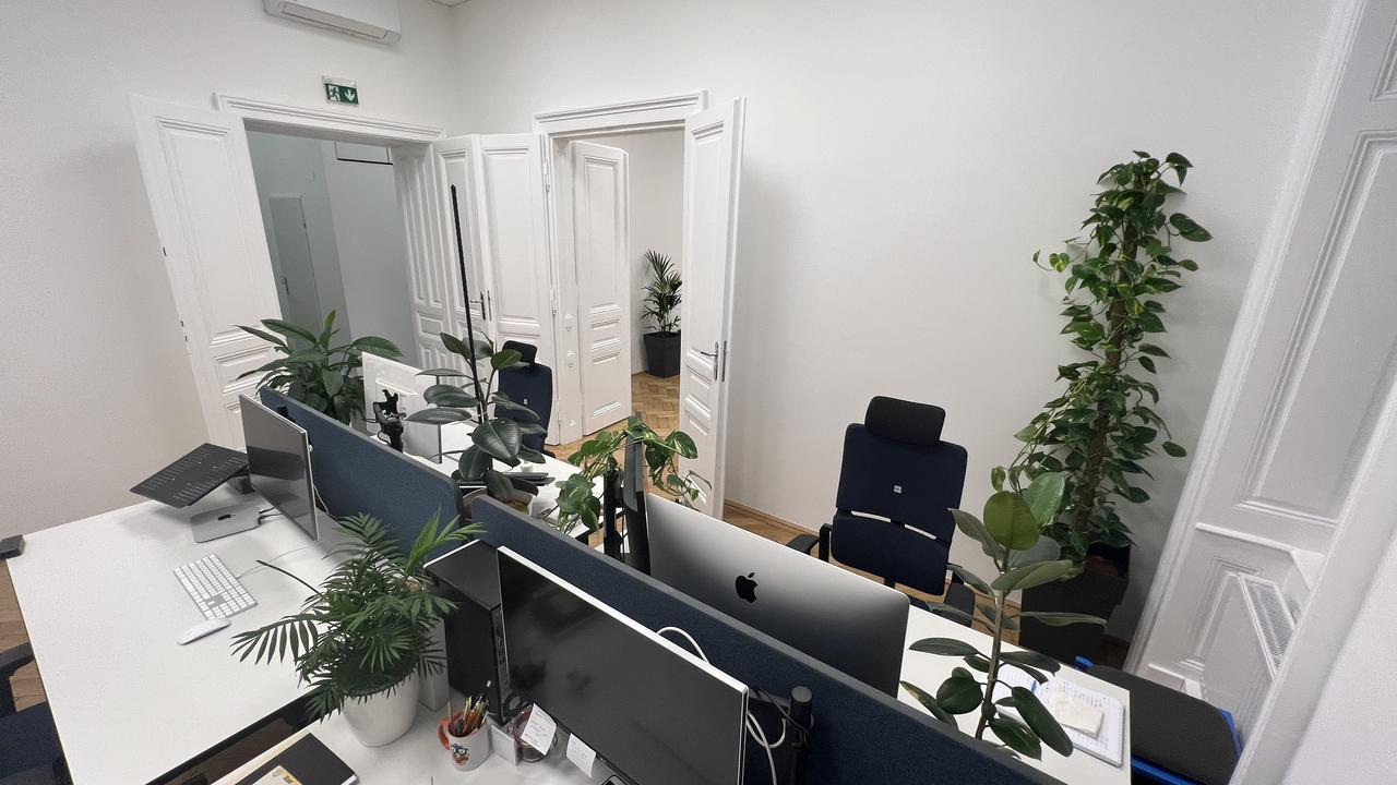 Arbeitsplätze im Earlybird Büro mit vielen Grünpflanzen im Hintergrund.