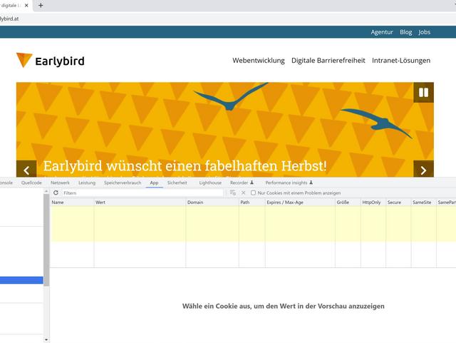 Screenshot zeigt einen leeren Cookie-Bereich im "App"-Tab der Chrome Entwicklertools bei geöffneter Earlybird Webseite im Hintergrund