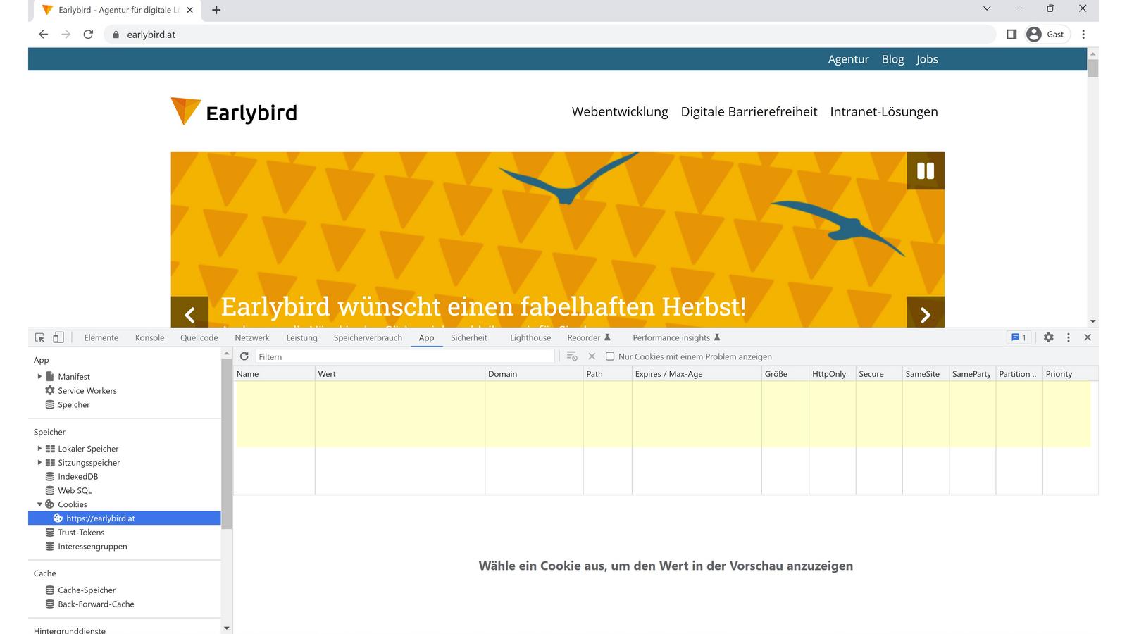 Screenshot der Earlybird Website, die mit den Entwicklertools von Chrome betrachtet wird. Es werden keine Cookies für die Webseite angezeigt.